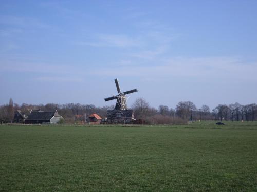 a windmill in the middle of a green field at Quaint Farmhouse in Geesteren with Meadow View in Geesteren