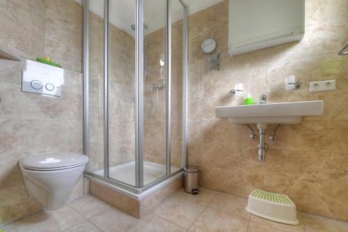 ein Bad mit einer Dusche, einem WC und einem Waschbecken in der Unterkunft Haus Alpin Lofer in Lofer
