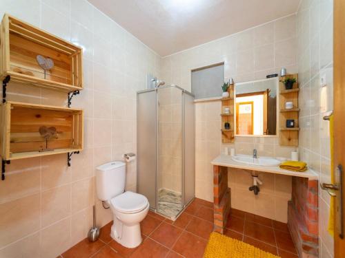 a bathroom with a toilet and a shower and a sink at Rural holiday home in Netos-Almagreira with shared pool in Lagares