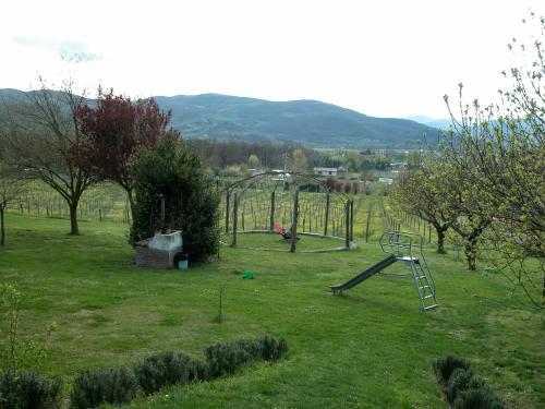 a playground in a field with a slide at Attractive apartment in old farmhouse on the estate with pool in Umbertide