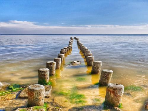 a row of wooden posts in the water at Ground-floor apartment with terrace and large garden with lounge area and grill in Mönkebude
