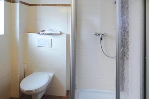 a small bathroom with a toilet and a shower at holiday home, Fusch an der Glocknerstraße in Fusch an der Glocknerstraße