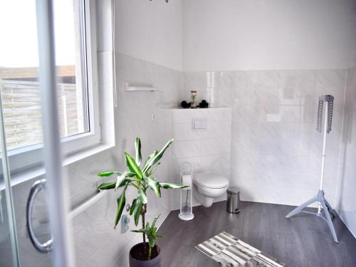 a bathroom with a toilet and a plant in it at Ground-floor apartment with terrace and large garden with lounge area and grill in Mönkebude