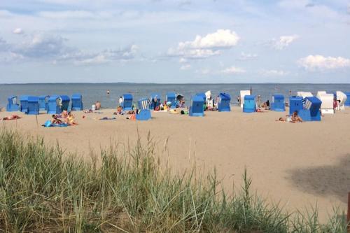 a group of people on a beach with blue beach chairs at Ground-floor apartment with terrace and large garden with lounge area and grill in Mönkebude