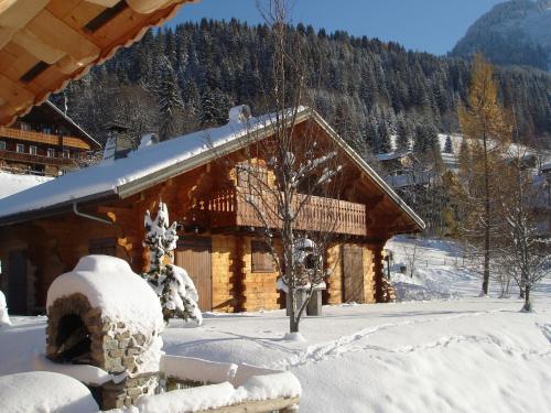 Chalet in Châtel near Les Portes du Soleil