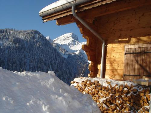 Chalet in Châtel near Les Portes du Soleil