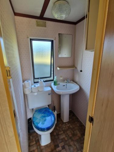 a bathroom with a toilet and a sink at Przyczepa holenderska ROCO in Rewa
