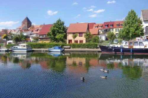 a group of ducks swimming in a river with boats at Apartment Hafenflair am Plauer See, Plau am See in Plau am See