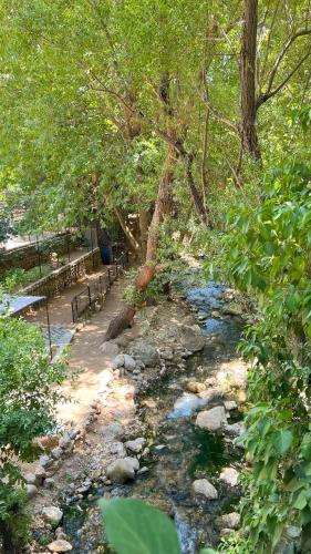 a stream with trees and benches in a park at Casa Riviera in Zahlé