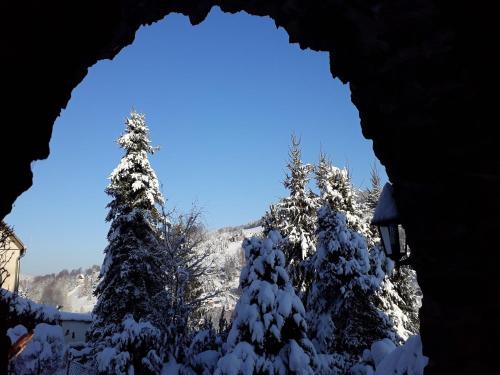 a group of trees covered in snow with the sky at Cozy Ski Base with Garden in Breitenbrunn