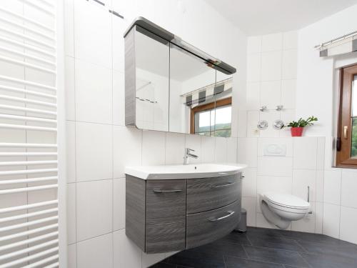 a bathroom with a sink and a toilet at Cozy Ski Base with Garden in Breitenbrunn