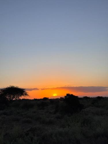 a sunset in a field with a tree in the foreground at Villa maasai in Kimana