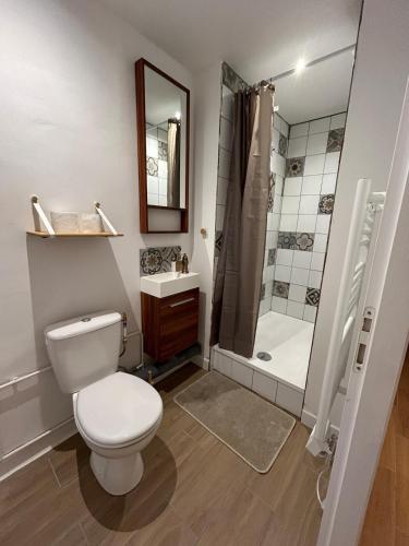 a bathroom with a toilet and a shower at Les Châtaigniers in Villeneuvette