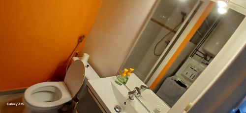 a bathroom with a toilet and a sink and a mirror at Charmant Studio 3 Personnes Rénové Dans Résidence Calme ! in Cap d'Agde