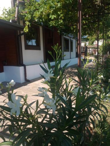 Lozyata Guest House