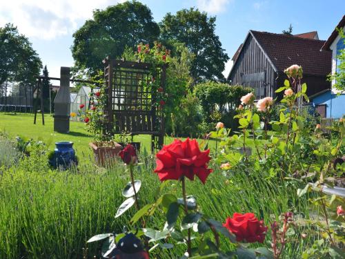 a garden with red flowers in the grass at Ferienwohnung in den Hüttenroder Bergen in Hüttenrode