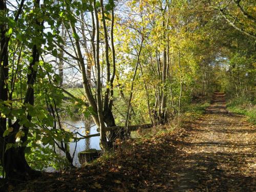 a path through a forest next to a river at Cottage in the heart of the Ardennes woods in Harre