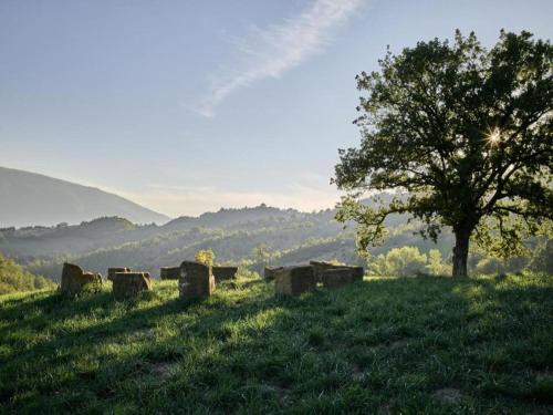Paisaje cerca de este apartamento