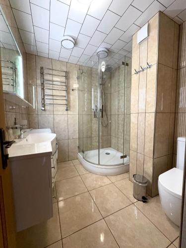 a bathroom with a shower and a toilet and a sink at Смерековий двір in Slavske