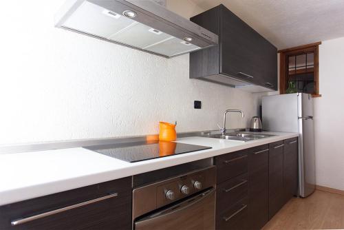 a kitchen with a sink and a refrigerator at Les quartier appartaments in Valgrisenche