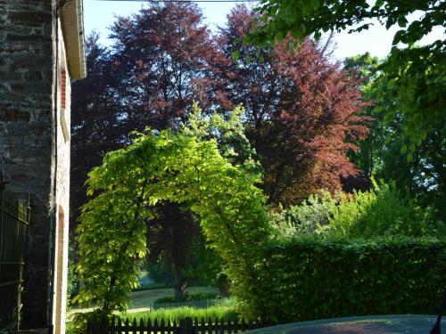 an arch of ivy in front of a fence at Charming Castle in Roumont in Roumont