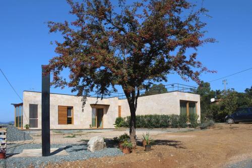 a tree in a yard next to a building at Holiday home Biocasa Fabiana, Portoferraio Magazzini in SantʼAnna