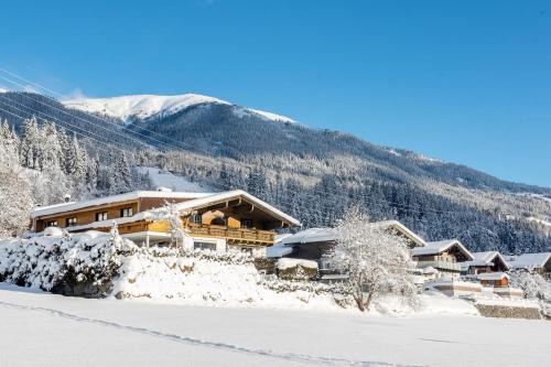 a building covered in snow with a mountain in the background at Apartment building Ferien, Neukirchen in Rosenthal