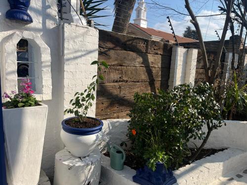 Фотография из галереи Little Mykonos в Йоханнесбурге