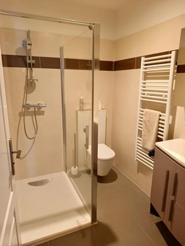 a bathroom with a shower and a toilet at Villa Testarouch - Proche Bordeaux & Arcachon in Mios