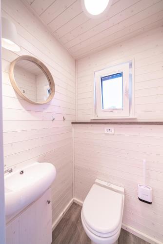 a bathroom with a toilet and a sink and a mirror at Hausboot TreibGut in Fehmarn