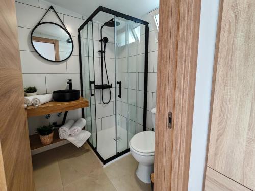 a bathroom with a shower with a toilet and a mirror at Hostal Casa Miguel Marbella in Marbella