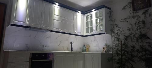 Kuchyň nebo kuchyňský kout v ubytování Skylar Family home