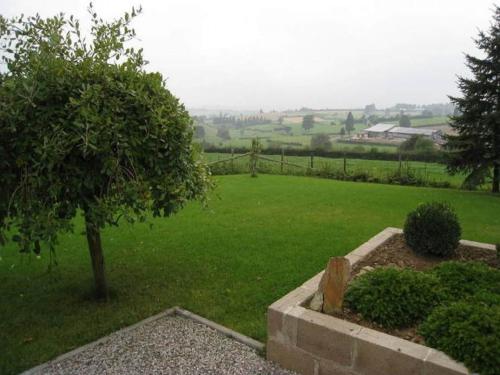 a green field with a tree and a fence at Apartment in Halenfeld-Amel with Terrace in Amblève