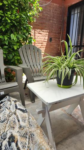 a white table with a potted plant on a patio at Aires de campo en la ciudad in San Fernando del Valle de Catamarca