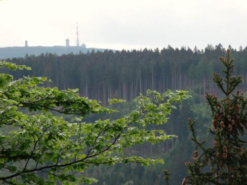 a view of a forest with trees in the distance at Entspannender Skiurlaub in Braunlage in Hohegeiß