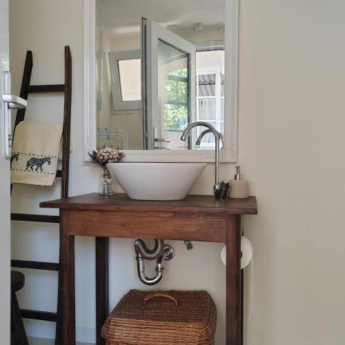 a bathroom with a sink and a mirror at Ca' dell'Agro in Gorizia