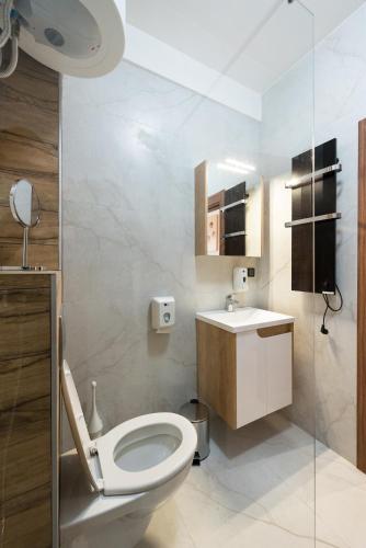 a bathroom with a toilet and a sink at Crystal Luxury Apartments in Vrdnik