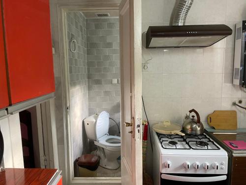 a small kitchen with a stove and a toilet at Guesthouse makho in Borjomi