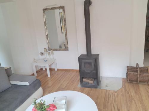 a living room with a wood stove in it at Dom Zaufanie in Uniejow
