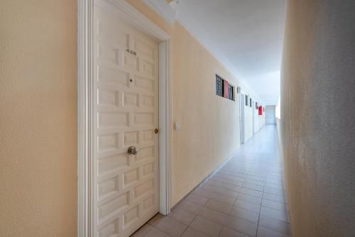 Apartamento Minerva recién renovado photo 6