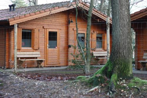 a wooden cabin with a tree in front of it at Lodges Veluwse Poort in Dieren