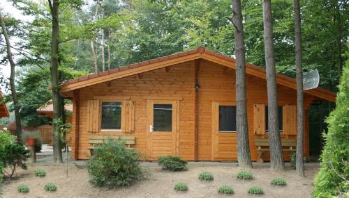 a log cabin in the woods with trees at Lodges Veluwse Poort in Dieren