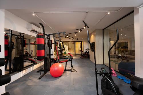 Fitness centrum a/nebo fitness zařízení v ubytování 77 by Spacey #19 - Studio in Maadi