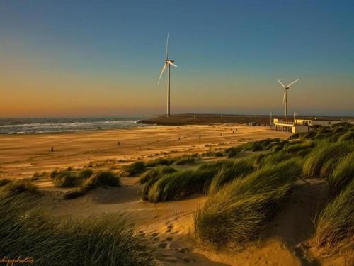 two windmills on a beach with the ocean at Apartment in Vrouwenpolder near Beach in Vrouwenpolder