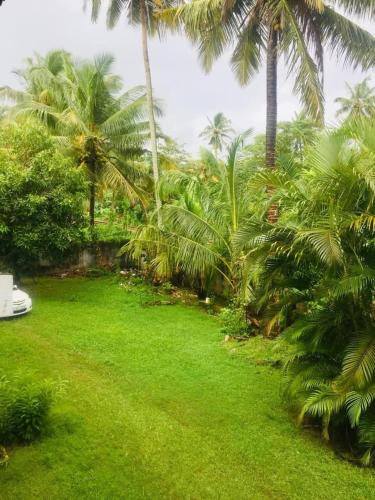 Gallery image of White Whale Villa Ambalangoda in Ambalangoda
