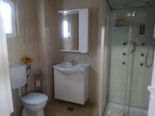 a bathroom with a toilet and a sink and a shower at Casa Corvinia in Hunedoara