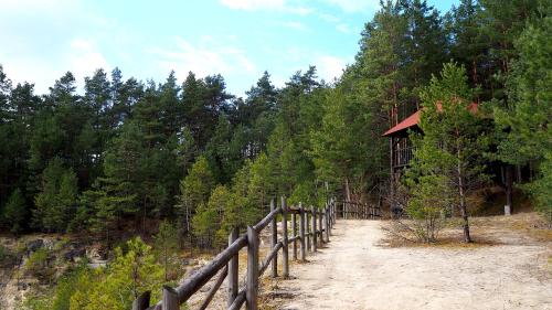 a wooden fence on a dirt road next to a forest at 2os Domek z prywatną balią z jacuzzi, kominek, na odludziu, jedyny na 10000 m2 terenie, widok na las, lubelskie Roztocze in Oseredek