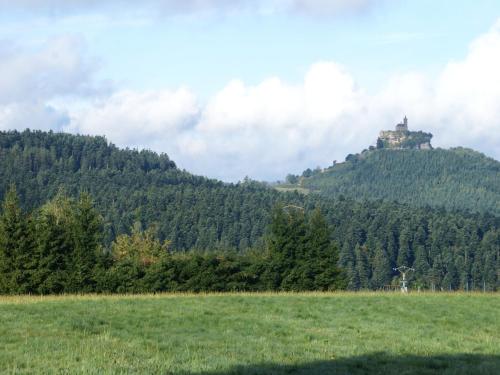 a castle on top of a hill with a field at Chalet in Dabo near Castle Ruins in Dabo