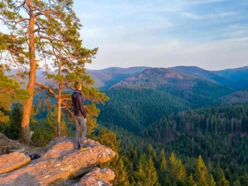 a man standing on top of a rock overlooking a valley at Chalet in Dabo near Castle Ruins in Dabo