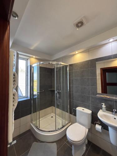 a bathroom with a shower and a toilet and a sink at MDS Wielichowo in Wielichowo